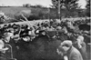 Photograph of Burntollet Ambush