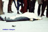 photograph copyright of William L. Rukeyser - photograph is one of a series taken on Bloody Sunday in Derry 30 January 1972