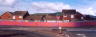thumbnail photo of mural