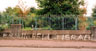 thumbnail photo of mural