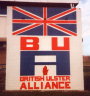 thumbnail photo of mural