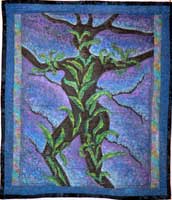 photograph of irish quilt