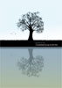 image of cover of report